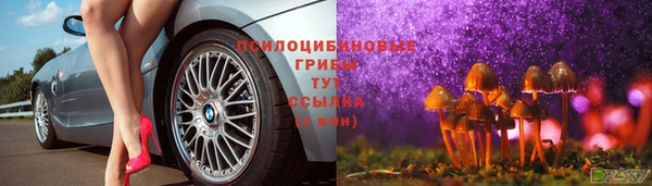 круглые Белокуриха