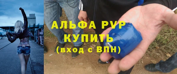 круглые Белокуриха