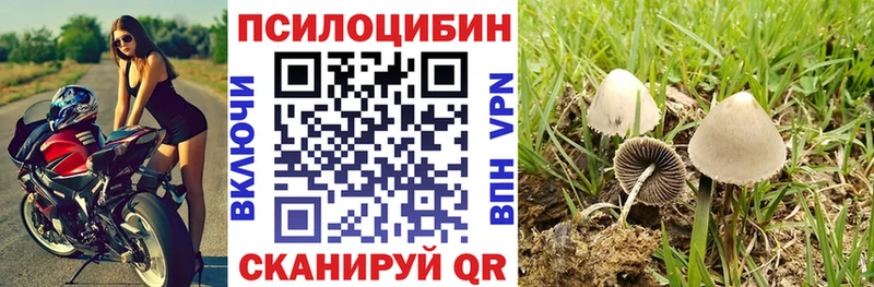 Псилоцибиновые грибы Psilocybine cubensis  Красный Сулин 